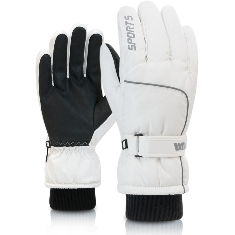 Мужские и женские профессионал – обзор и цена Ski Glove Waterproof